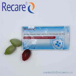 typhidot igm test OEM rapid diagnostic test manufacturer