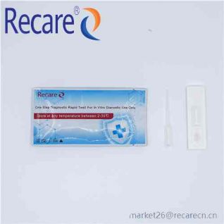 typhoid antigen test OEM rapid antigen test kit wholesale