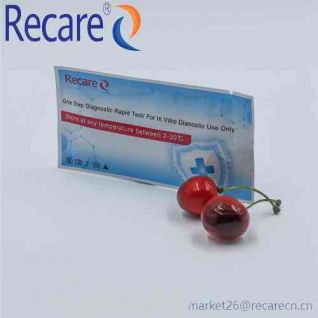 typhoid igg igm cheap kits best rapid test kit distributor